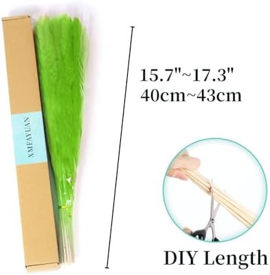 30PCS Green Pampas Grass Bouquet for Home and Gifting