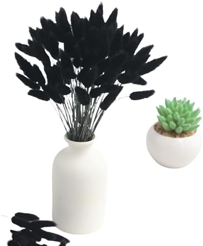 110pcs Black Dried Bunny Tail Flowers for DIY Decor