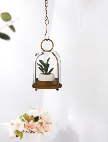75 Inch High Modern Metal Hurricane Lantern with Brass Finish and Glass Dome