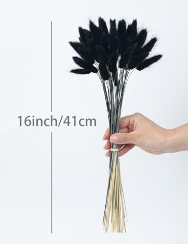 110pcs Black Dried Bunny Tail Flowers for DIY Decor