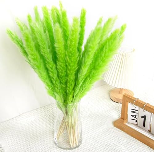 30PCS Green Pampas Grass Bouquet for Home and Gifting