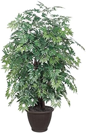Vickerman 4ft Indoor Artificial Ming Aralia with Brown Container