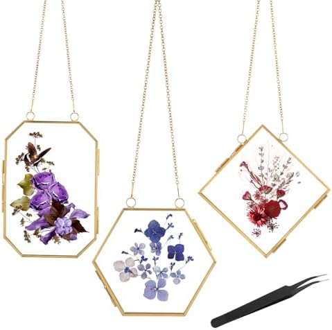 3pcs Pressed Flower Frames with Gold Chain Brass Wall Hanging Display