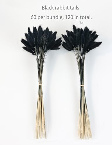 110pcs Black Dried Bunny Tail Flowers for DIY Decor