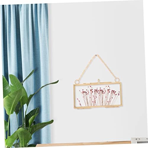 Healifty Brass Frame for Dried Flowers and Artwork Display