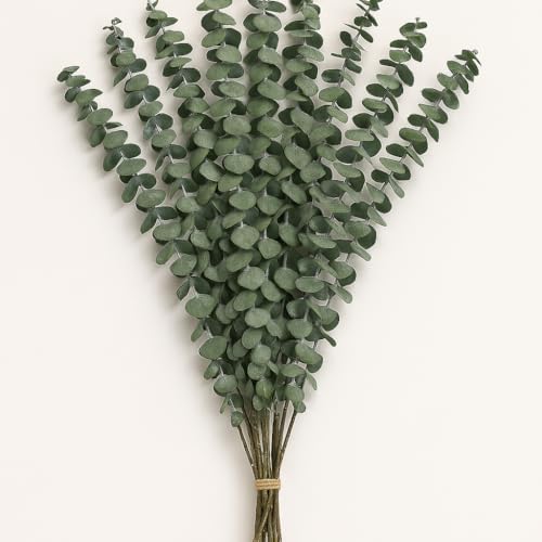 CozyKoala Dried Eucalyptus Decor 20 Stems