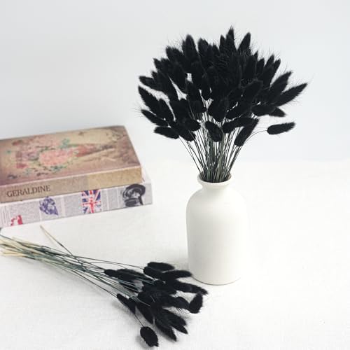 110pcs Black Dried Bunny Tail Flowers for DIY Decor