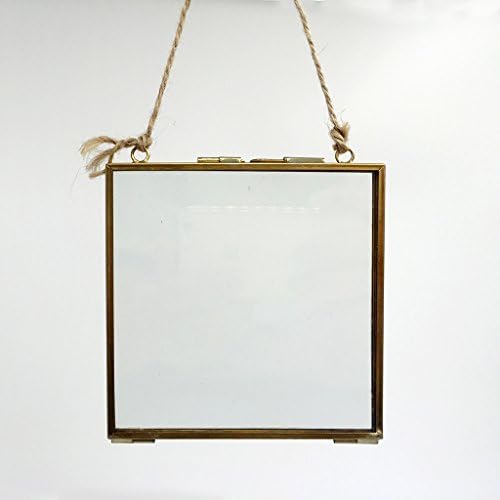 Double Glass Floating Frame Brass and Glass Wall Decor