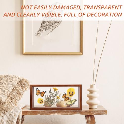 Abaodam Dried Flowers Shadow Box Frame Display Case