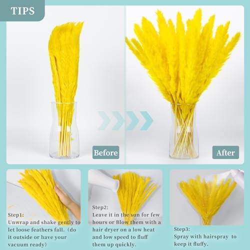 30PCS Green Pampas Grass Bouquet for Home and Gifting