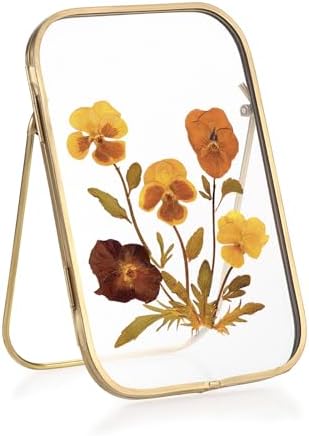 4x6 Inch Double Glass Pressed Flower Frame with Gold Frame