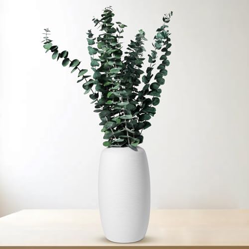 CozyKoala Dried Eucalyptus Decor 20 Stems