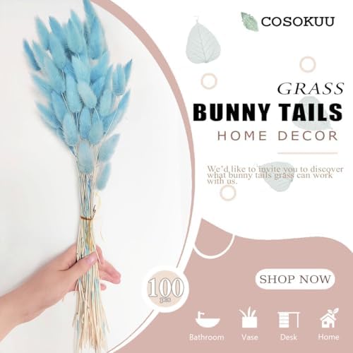 COSOKUU Bunny Tails Dried Flowers 100pcs Light Blue
