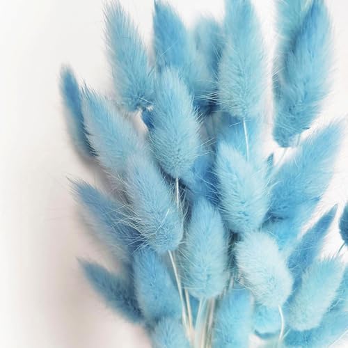 COSOKUU Bunny Tails Dried Flowers 100pcs Light Blue