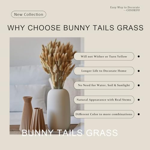 COSOKUU Bunny Tails Dried Flowers 100pcs Light Blue
