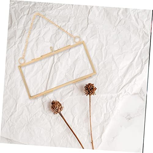 Healifty Brass Frame for Dried Flowers and Artwork Display