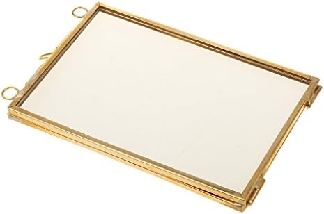 Double Glass Floating Frame Brass and Glass Wall Decor