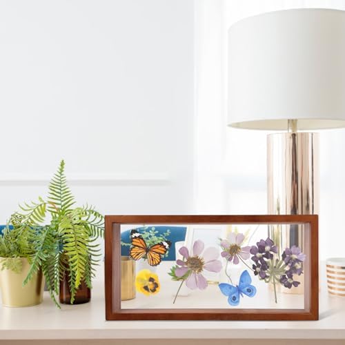 Abaodam Dried Flowers Shadow Box Frame Display Case
