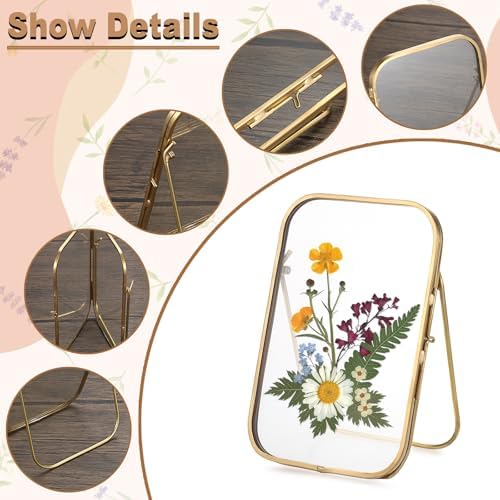 4x6 Inch Double Glass Pressed Flower Frame with Gold Frame