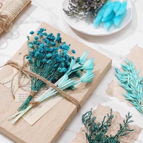 12 Pieces DIY Natural Dried Flower Set Blue