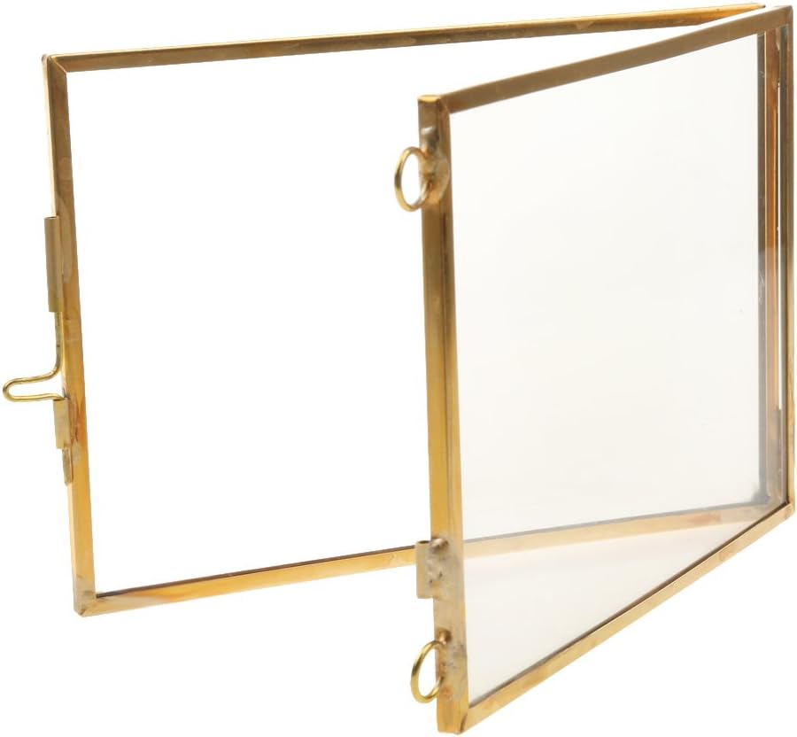 Double Glass Floating Frame Brass and Glass Wall Decor