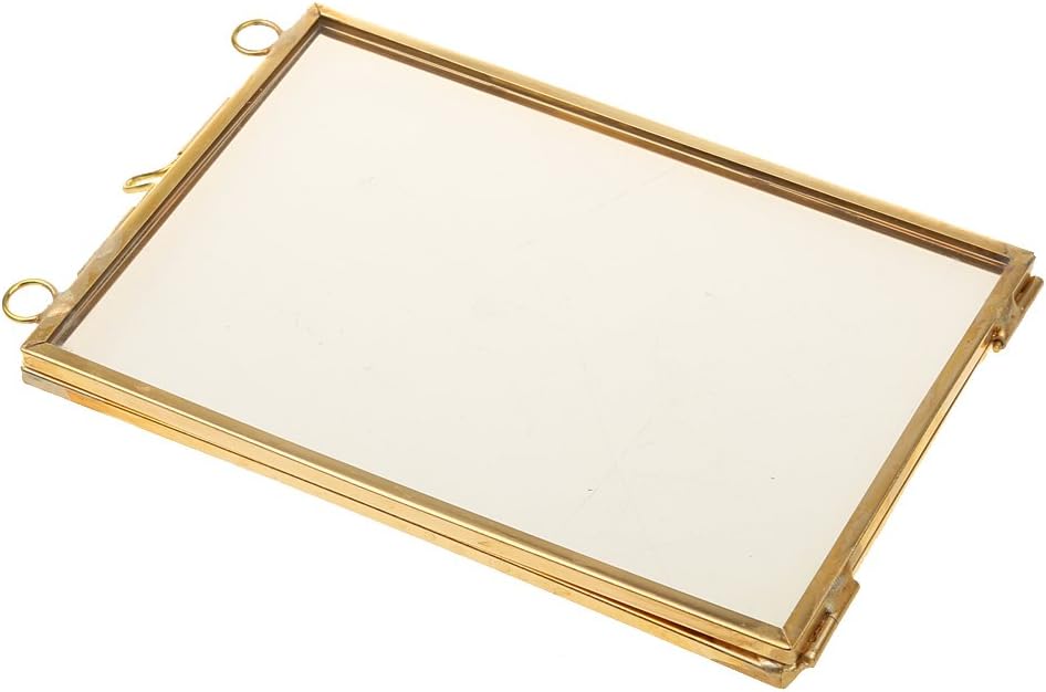 Double Glass Floating Frame Brass and Glass Wall Decor