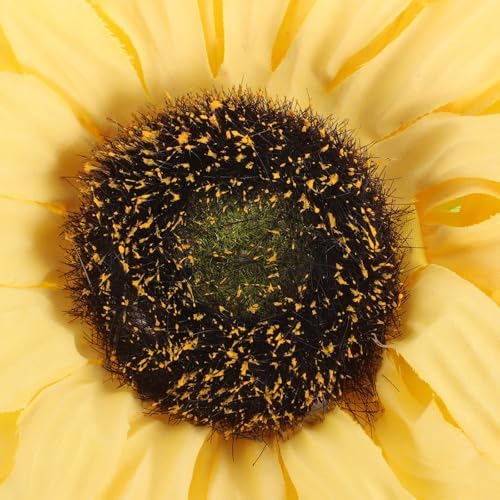 Sunflower Curtain Holdbacks for Summer Windows
