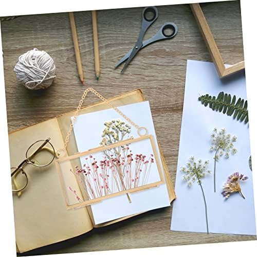 Healifty Brass Frame for Dried Flowers and Artwork Display
