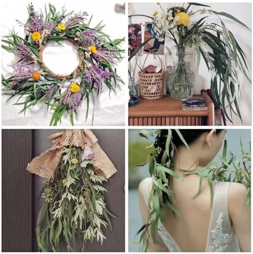 17 Inch Preserved Eucalyptus Stems for Home Decor
