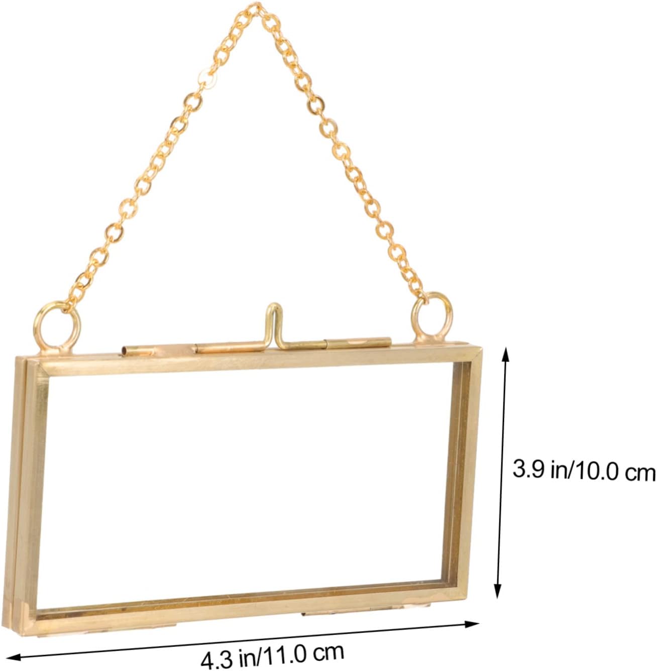 VOSAREA Brass Double Glass Hanging Picture Frame for Flowers and Photos