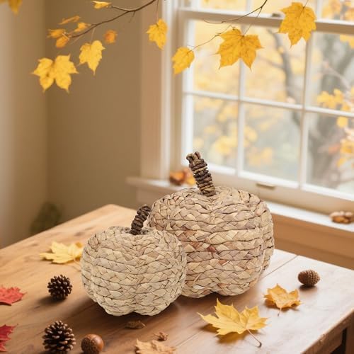 Winemana 2 Pack Beige Woven Pumpkin Decorations
