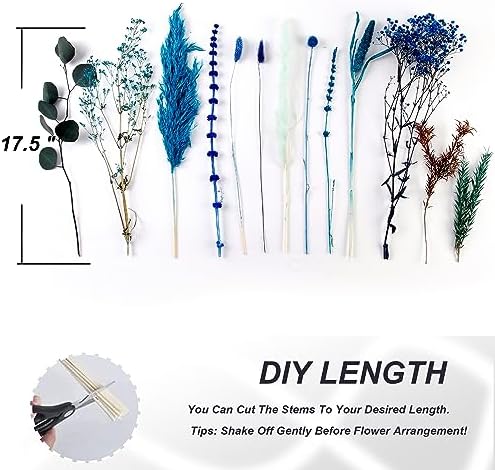 Acfruits Blue Dried Pampas Grass Bouquet 17 Inch Decor