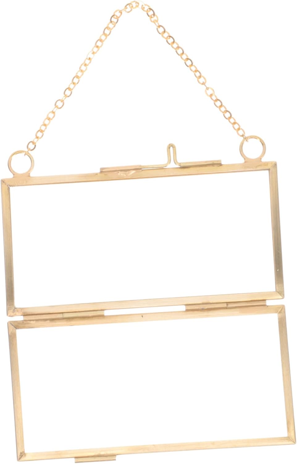 Healifty Brass Frame for Dried Flowers and Artwork Display