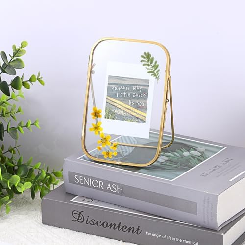 4x6 Inch Double Glass Pressed Flower Frame with Gold Frame