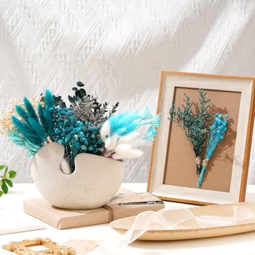 12 Pieces DIY Natural Dried Flower Set Blue