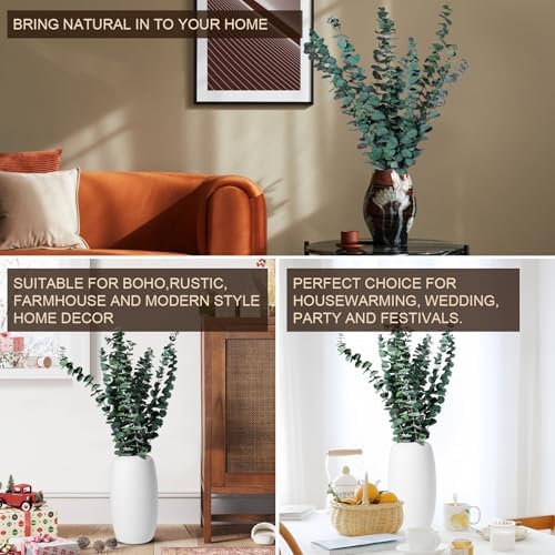 CozyKoala Dried Eucalyptus Decor 20 Stems