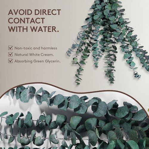 CozyKoala Dried Eucalyptus Decor 20 Stems