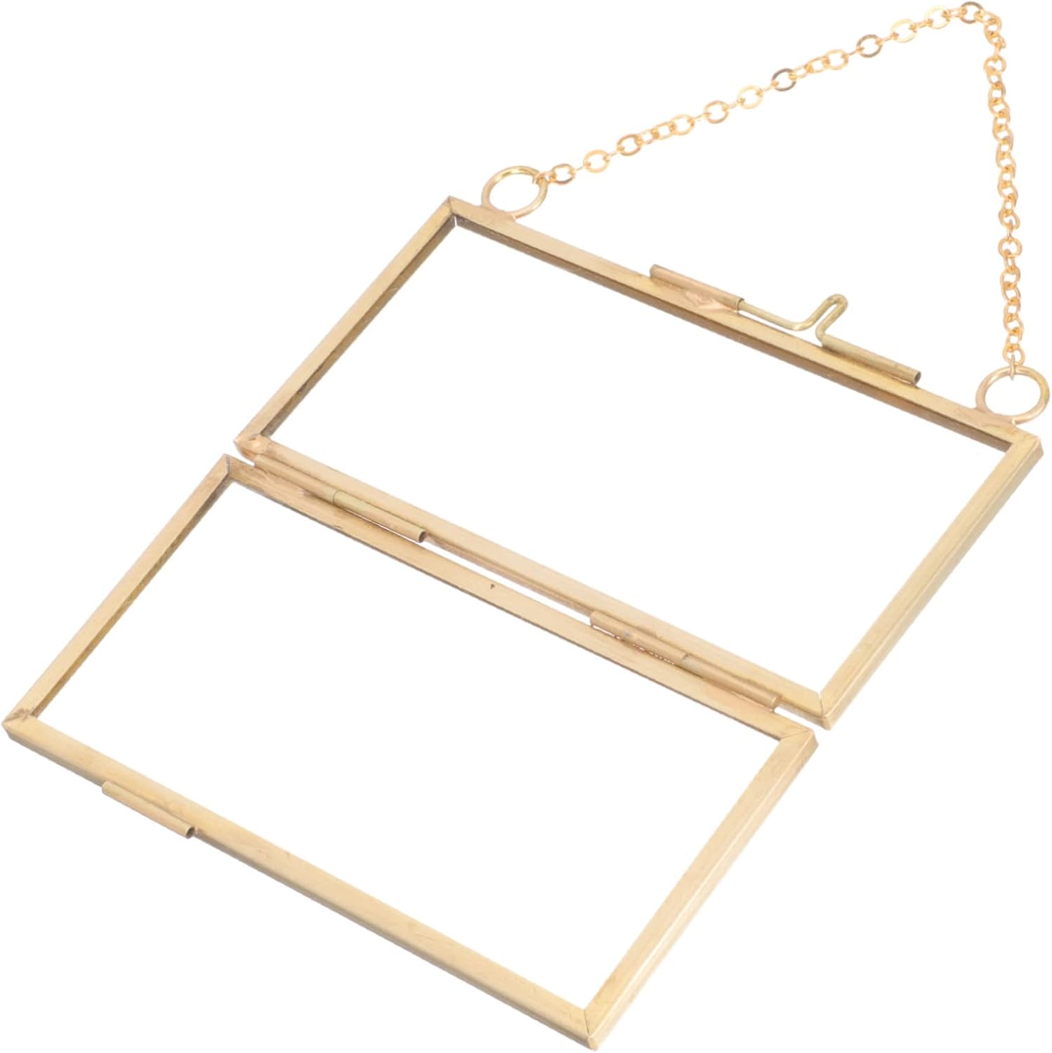 VOSAREA Brass Double Glass Hanging Picture Frame for Flowers and Photos