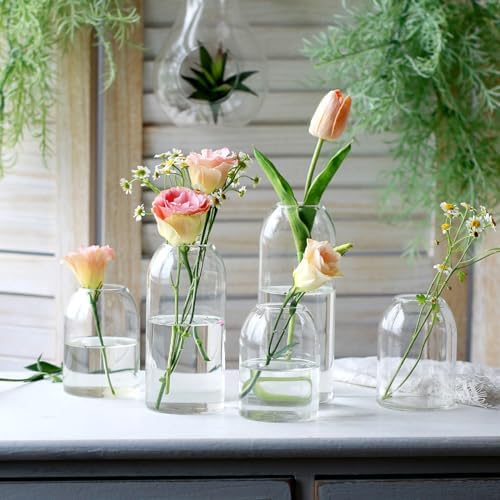Etolies Clear Glass Vase Set of 12 Modern Cylinder Design