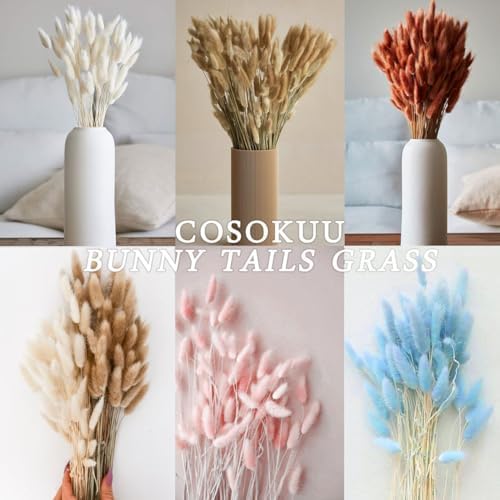 COSOKUU Bunny Tails Dried Flowers 100pcs Light Blue