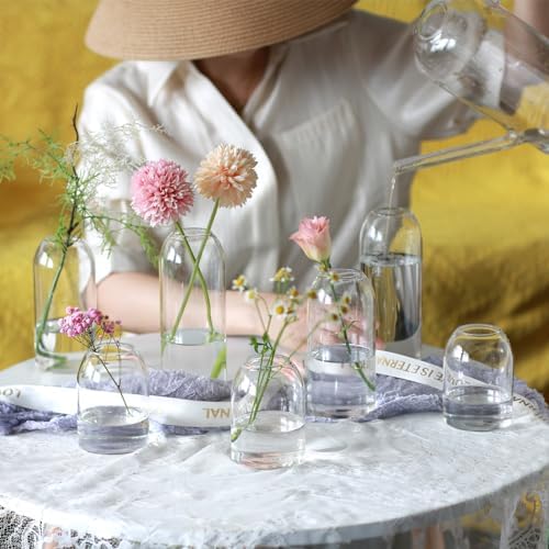 Etolies Clear Glass Vase Set of 12 Modern Cylinder Design