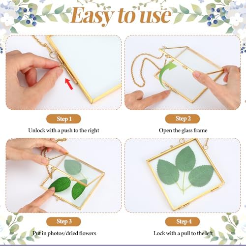 3pcs Pressed Flower Frames with Gold Chain Brass Wall Hanging Display