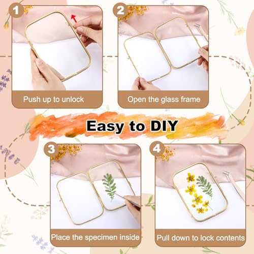 4x6 Inch Double Glass Pressed Flower Frame with Gold Frame