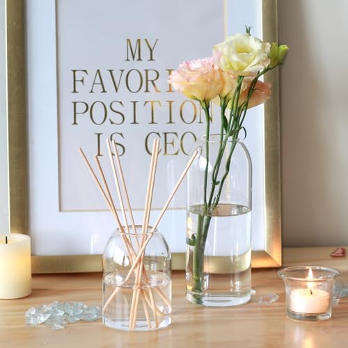 Etolies Clear Glass Vase Set of 12 Modern Cylinder Design