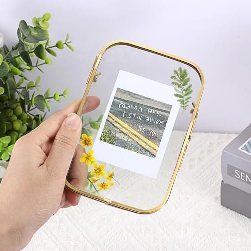 4x6 Inch Double Glass Pressed Flower Frame with Gold Frame