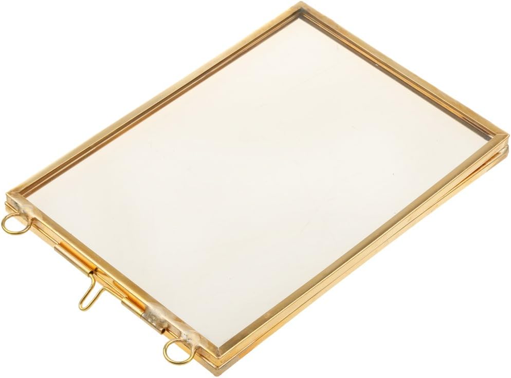 Double Glass Floating Frame Brass and Glass Wall Decor