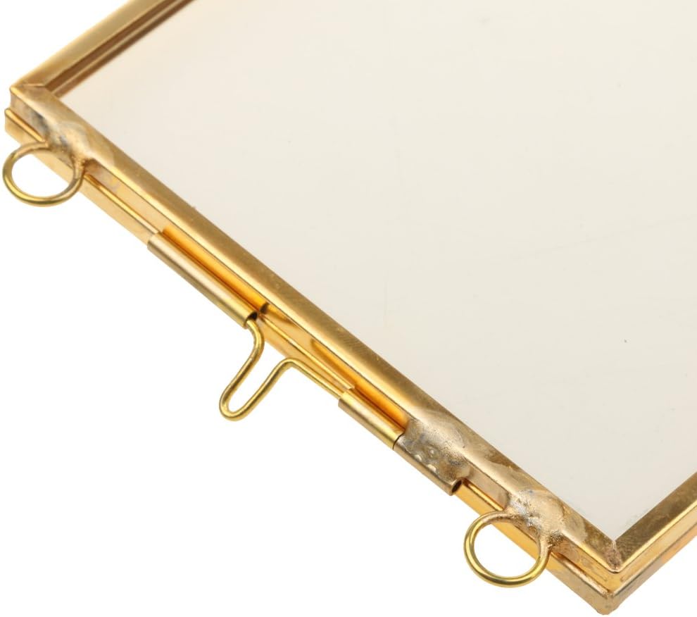 Double Glass Floating Frame Brass and Glass Wall Decor