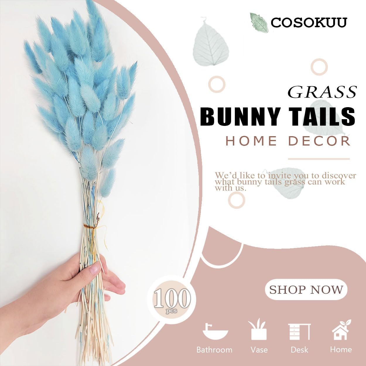 COSOKUU Bunny Tails Dried Flowers 100pcs Light Blue
