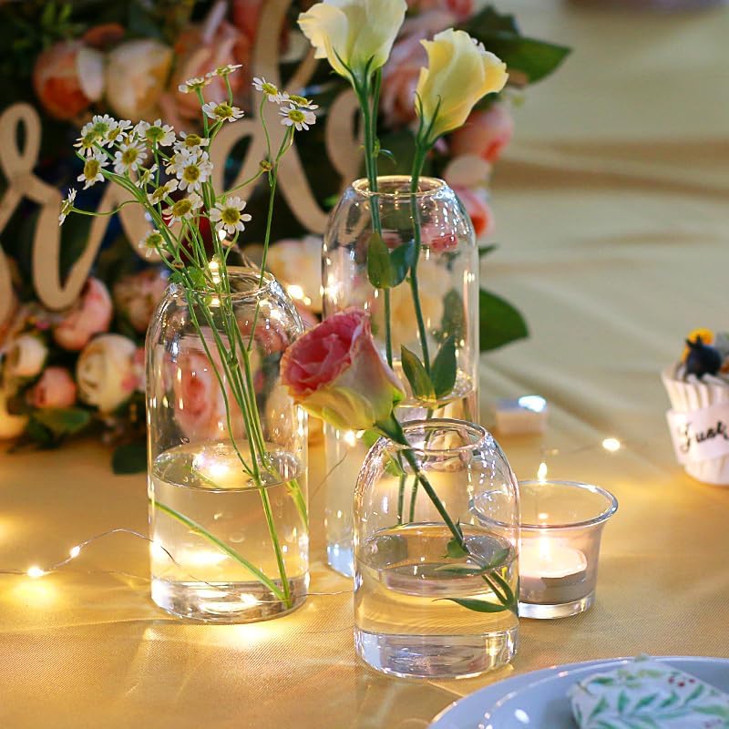 Etolies Clear Glass Vase Set of 12 Modern Cylinder Design