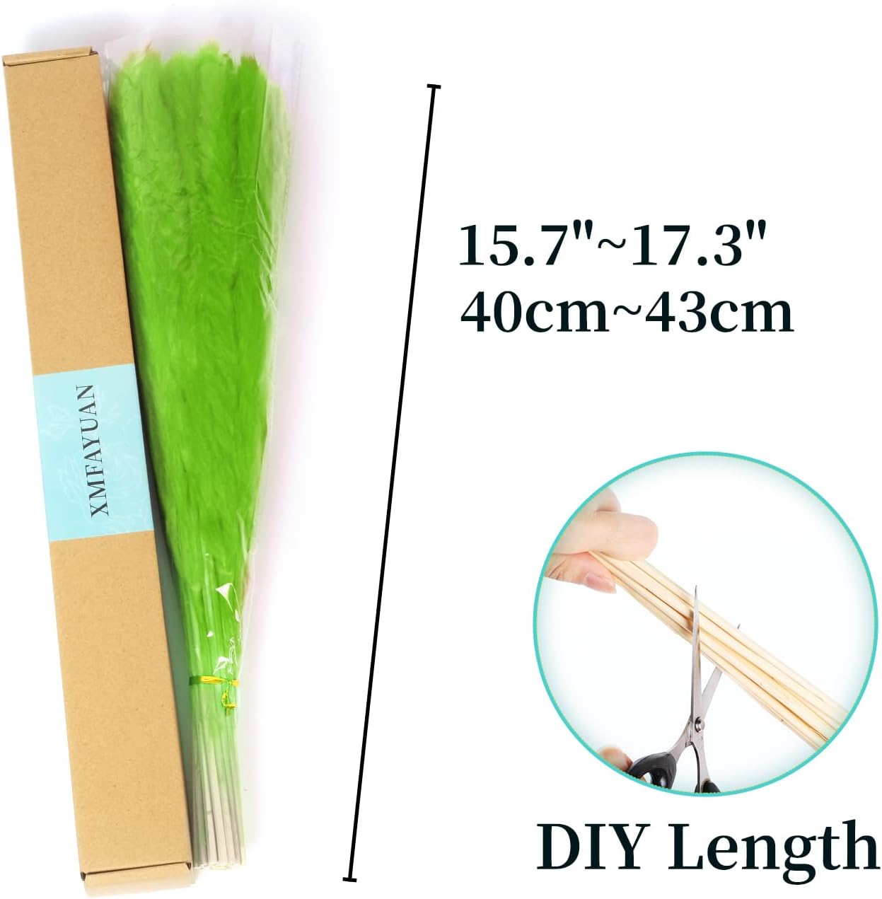 30PCS Green Pampas Grass Bouquet for Home and Gifting